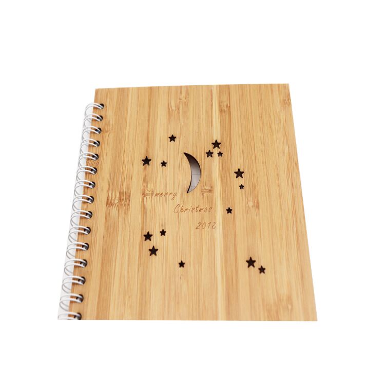 Bamboo Notebooks 1